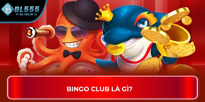 Bingo Club là gì?