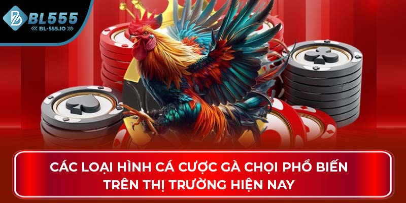 Các loại hình cá cược gà chọi phổ biến trên thị trường hiện nay