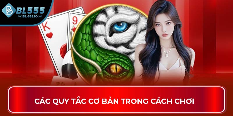 Các quy tắc cơ bản trong cách chơi