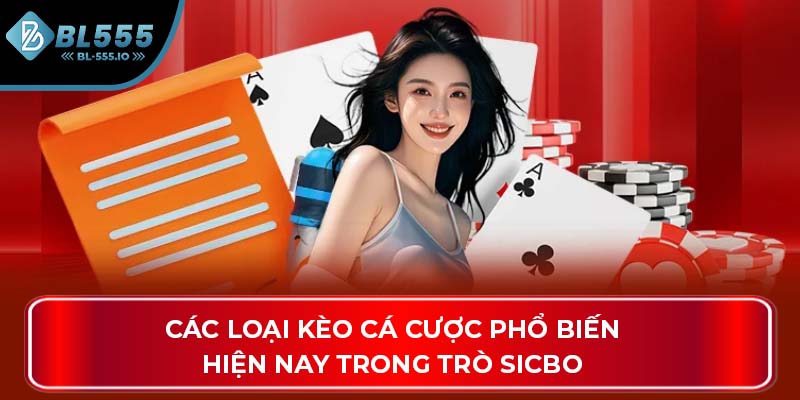 Các loại kèo cá cược phổ biến hiện nay trong trò sicbo
